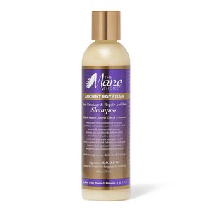Anti-Breakage & Repair Antidote Shampoo