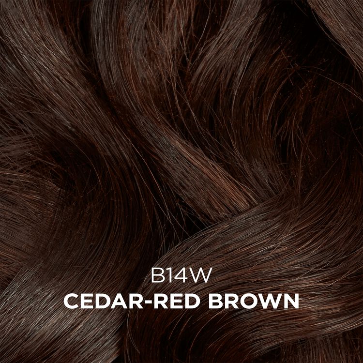 B14W Cedar Red Brown Semi Permanent Moisturizing Hair Color