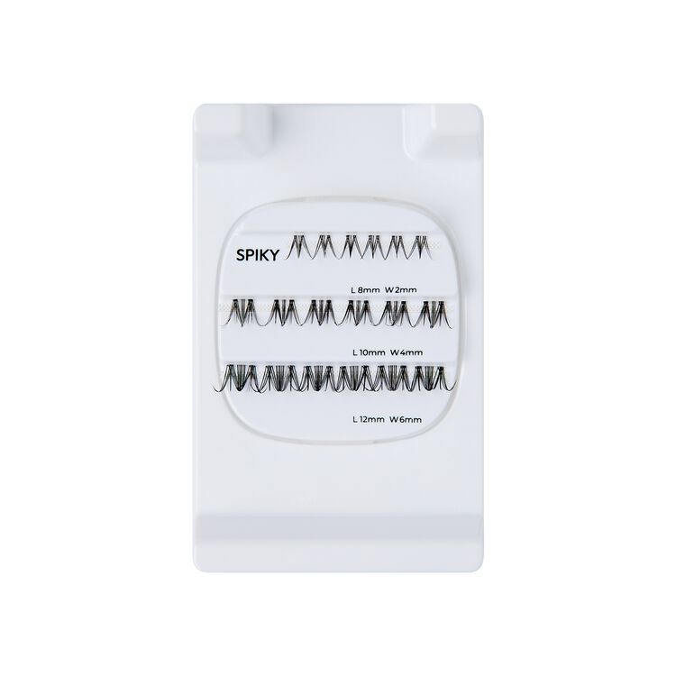 Delicate Fluffy Studio Palette