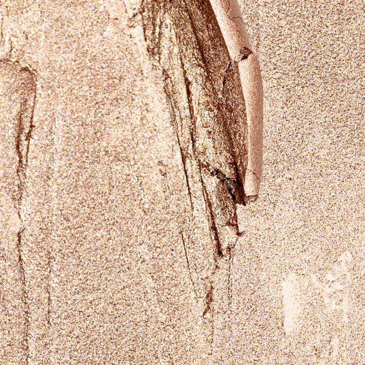 Champagne Shimmer Eyeshadow Stick