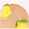 Lemon Squeezy