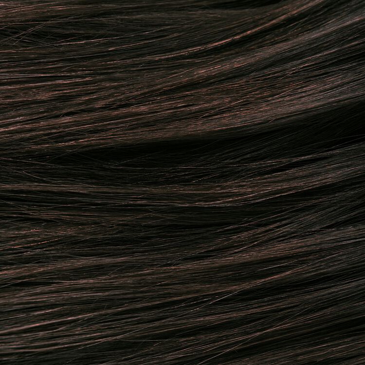 Root Perfection Root Touch Up Permanent Hair Color Kit 5N Calabria Brown