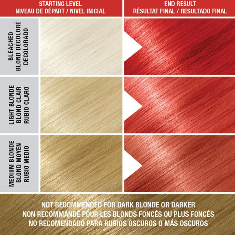 Sugar Cloud Semi-Permanent Foaming Hair Color Licorice