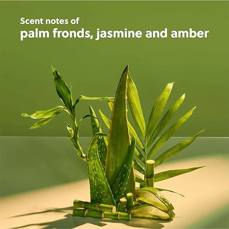 Foaming Gel Wash Palm Grove