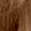 #8 Medium Blonde