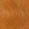 Amber Glow GR