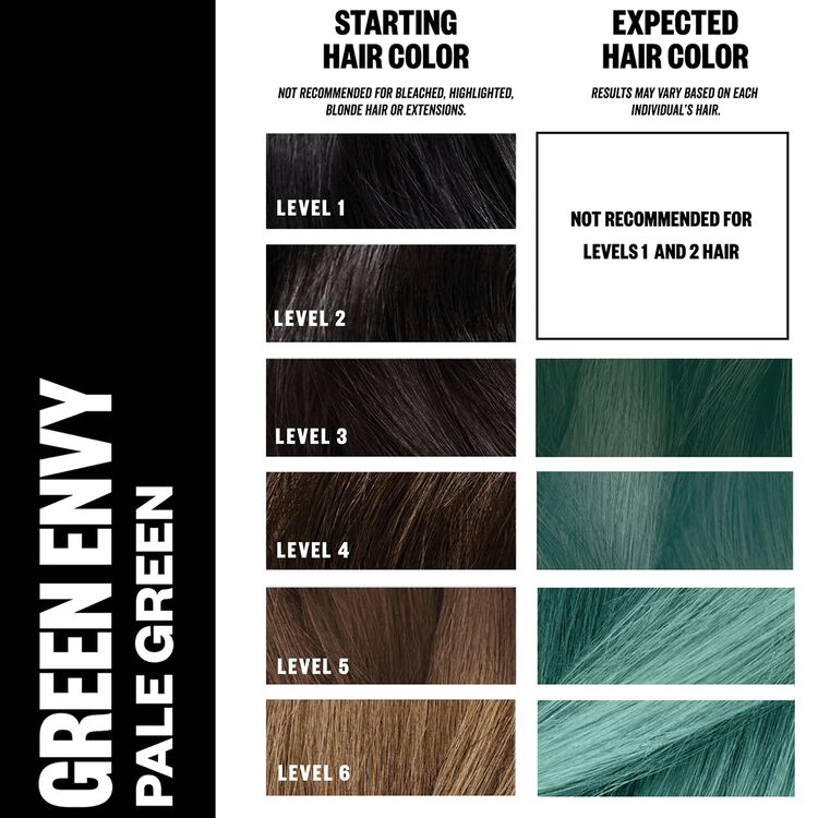 Green Envy One Step Bleach & Color Kit
