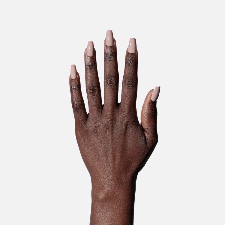 Bear Necessities Premium Press On Nails