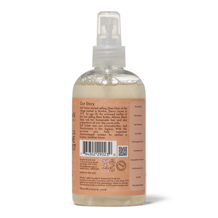 Hold Shine Moisture Mist