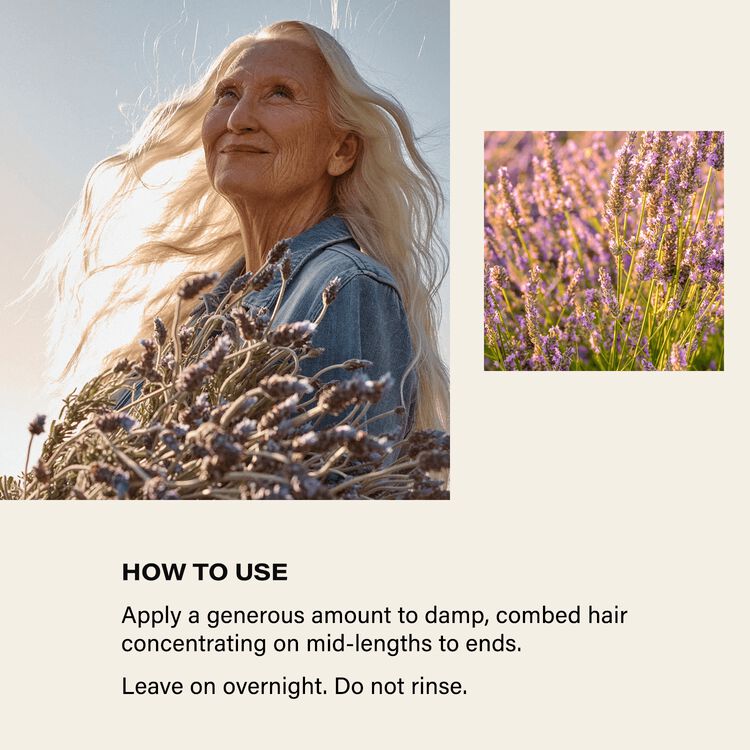 Lavender Overnight Mask