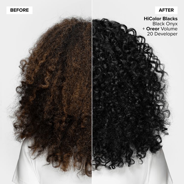 H23 Black Plum Permanent Hair Color