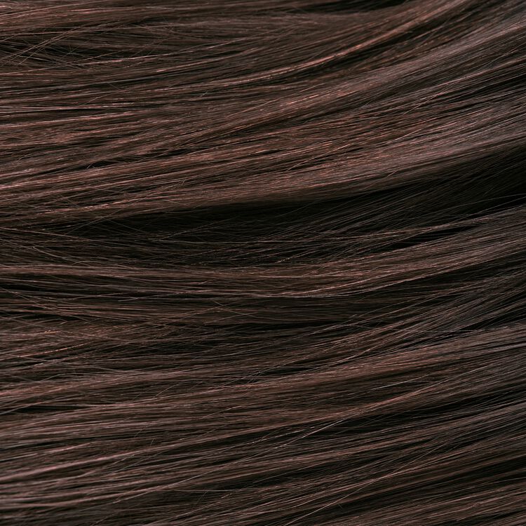 Root Perfection Root Touch Up Permanent Hair Color Kit 6N Savoca Medium Brown