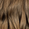7.5NNA Umbria Light Brown