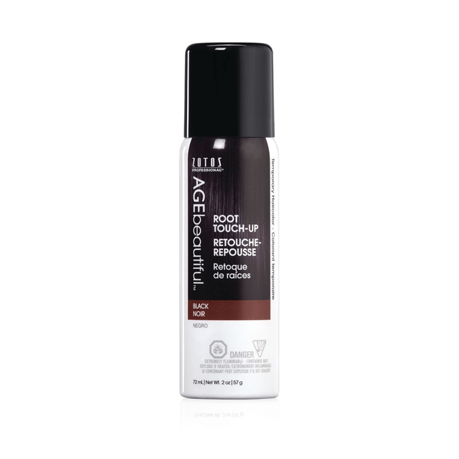 Black Ice Professional Original Black Touch up Spray 4 oz - Barber Salon  Supply