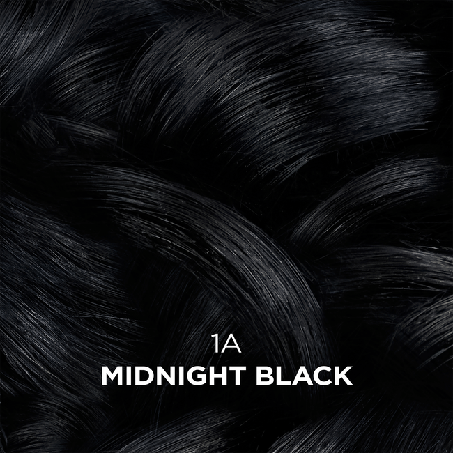 Clairol Professional 1A Midnight Black Semi Permanent Hair ...