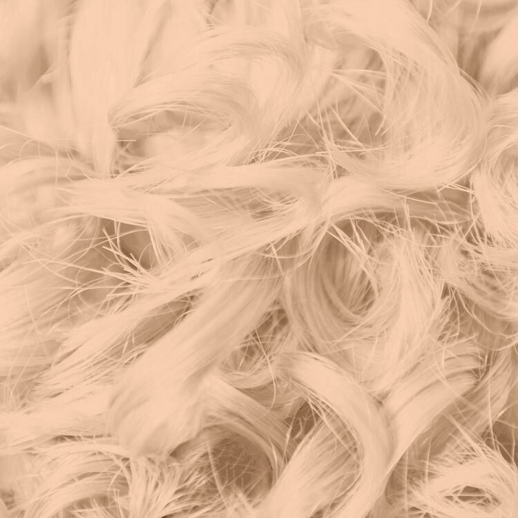 Smoky Blonde Bonding Toner Demi-Permanent Hair Color