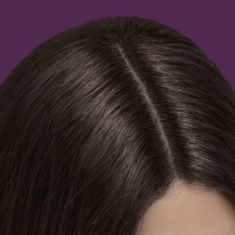 Root Perfection Root Touch Up Permanent Hair Color Kit 5N Calabria Brown