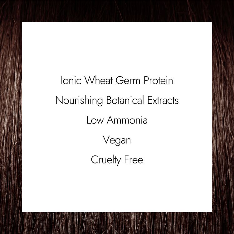 6WR Dark Golden Mahogany Blonde Permanent Crème Hair Color