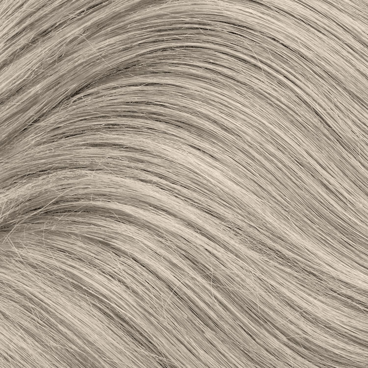 Ion Platinum Lace Toner Before And After