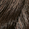 4NN Espresso Brown