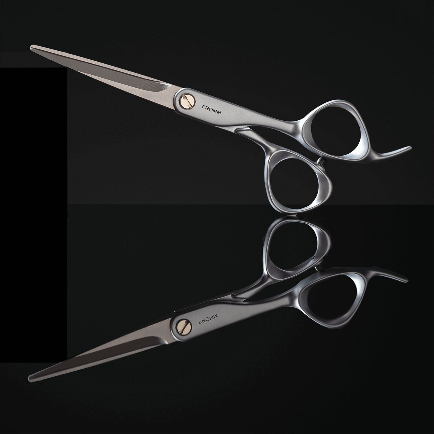 Transform Shear Silver by Fromm Shears & Shapers Sally Beauty