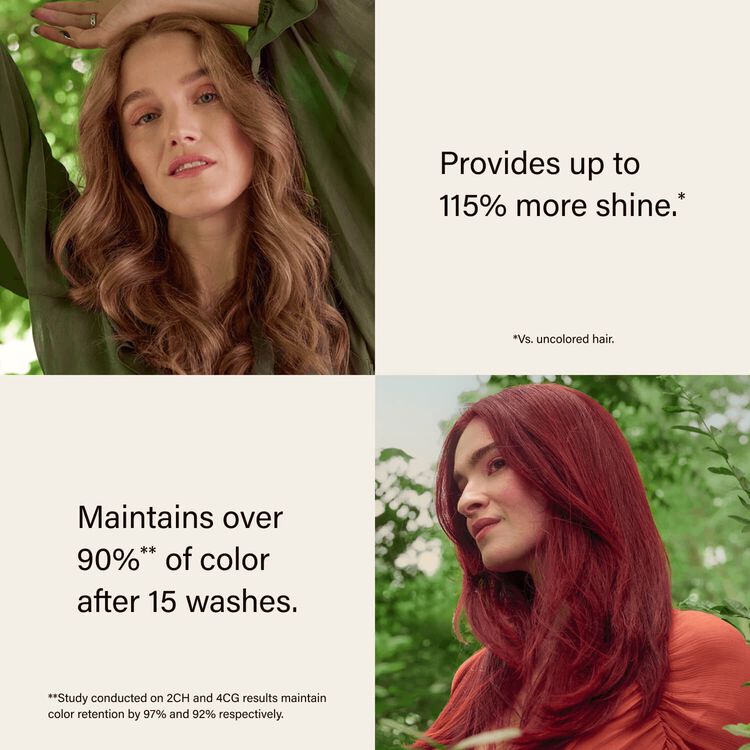 Ammonia-Free Permanent Hair Color Midnight Blueberry Black 2A