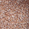 Titian Tint