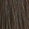 6NN Intense Dark Blonde
