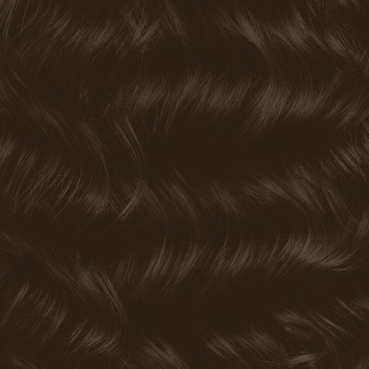 Fast 10 Permanent Hair Color Kit 2N Natural Black