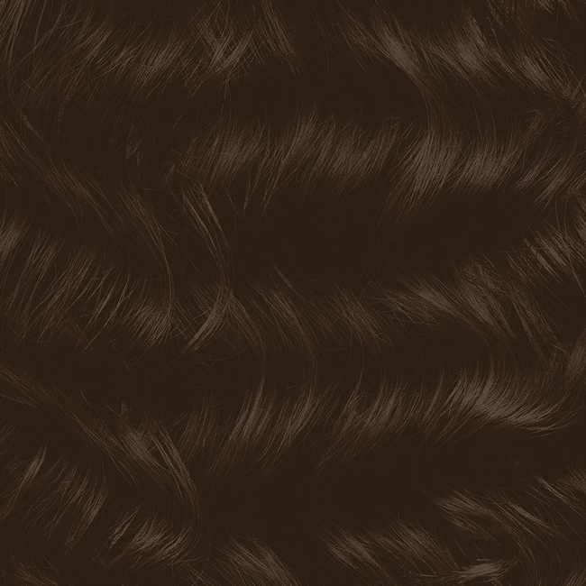 Fast 10 Permanent Hair Color Kit 2N Natural Black