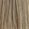 8NN Intense Light Blonde