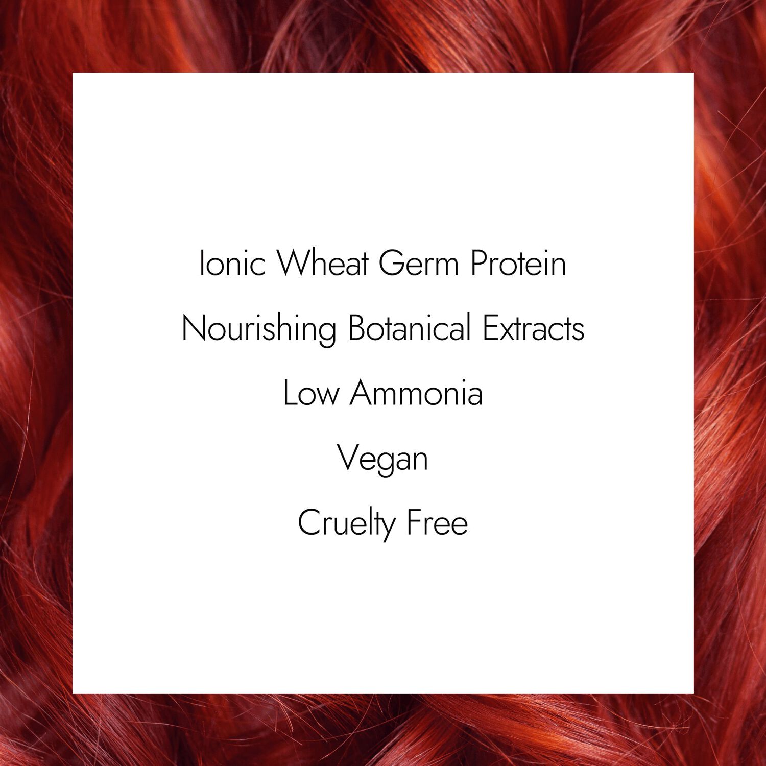Ion 6RV Light Burgundy Blonde Permanent Creme Hair Color by Color