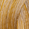 Honey Blonde