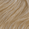 10GN Lightest Gold Neutral Blonde