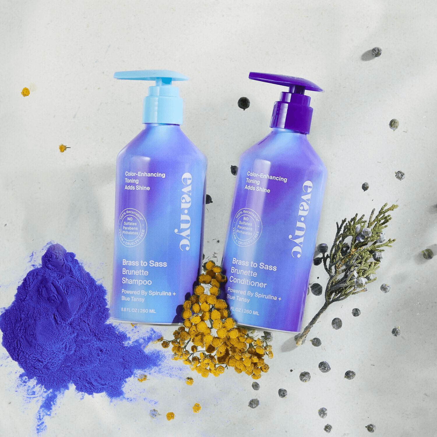 Eva NYC Brass to Sass Shampoo 8.8 oz Blue Shampoo Sally Beauty