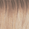#1036/10GV Honey Blonde