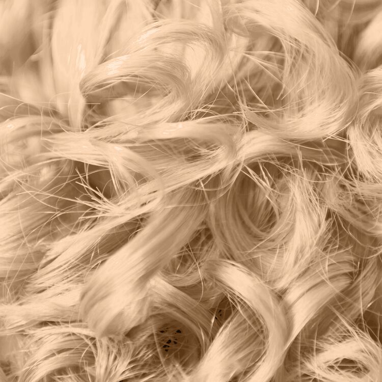 8G Light Golden Blonde Permanent Liquid Hair Color