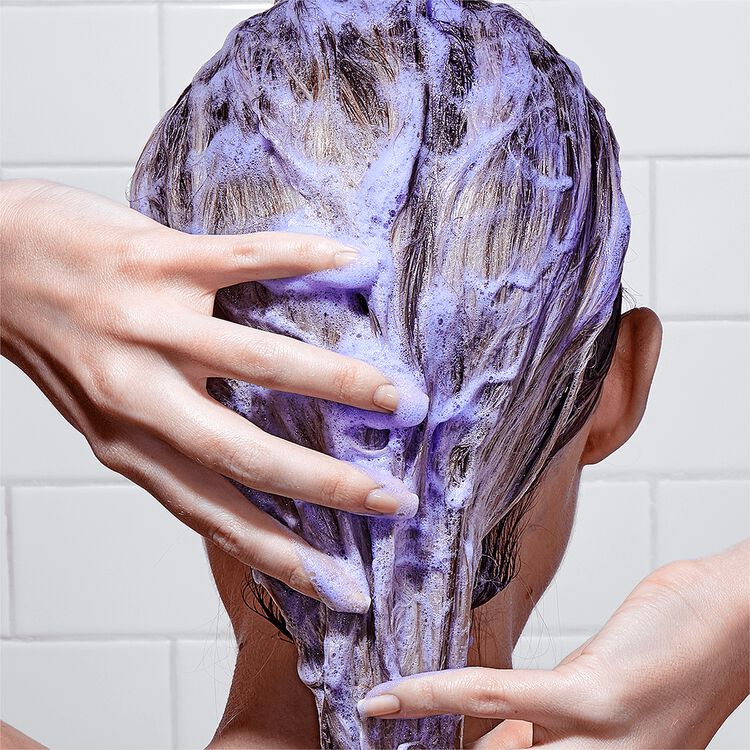 EverPure Purple Conditioner
