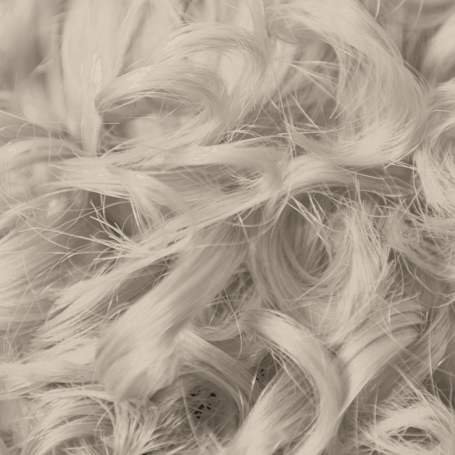 Ion Platinum Lace Toner Before And After