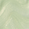 AppointMINT Confirmed