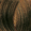 #5.3 Medium Golden Brown
