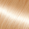 #613 Light Blonde