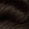 5WG Lightest Warm Gold Brown