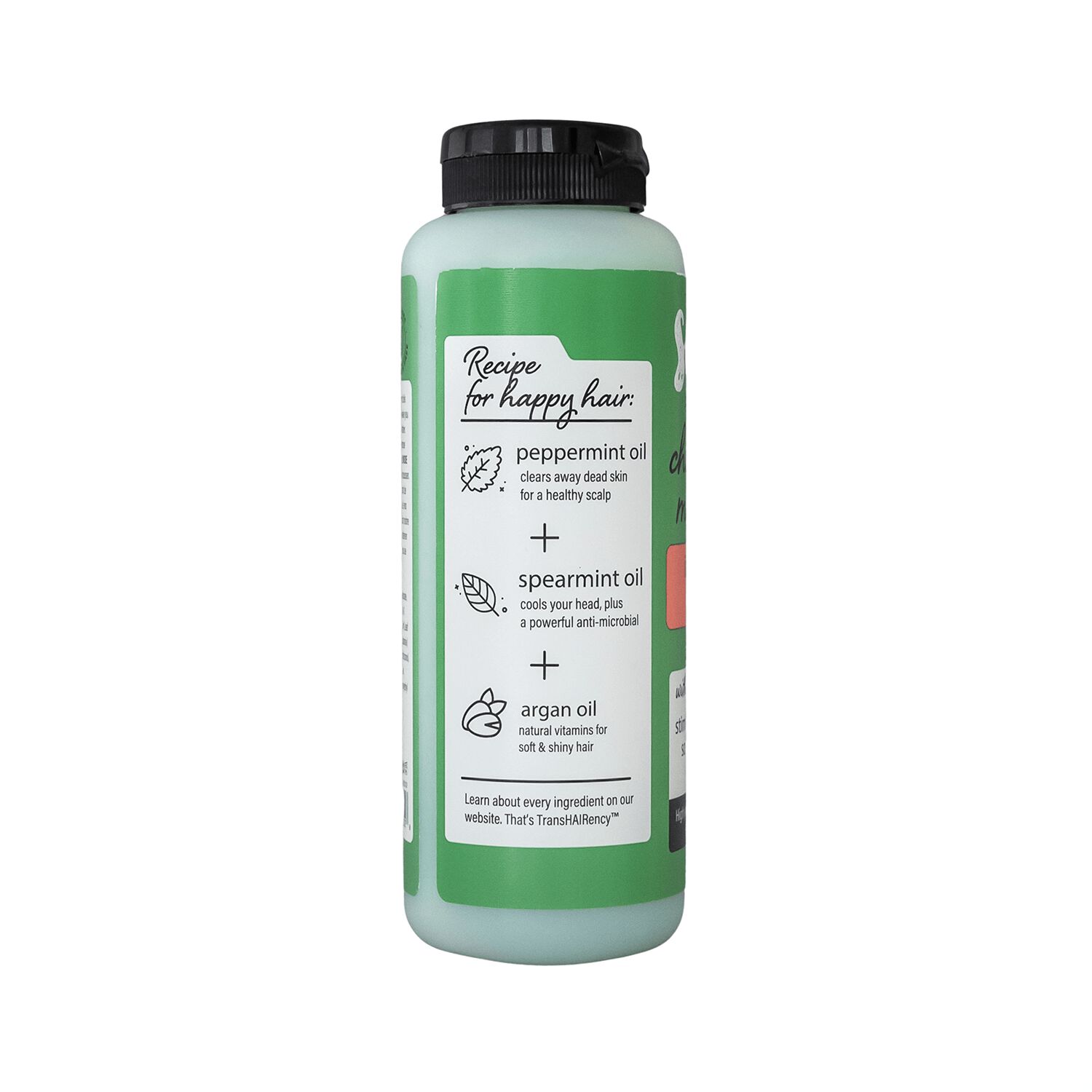 Chimichurri Mint Tingle Intense Repair Shampoo by Sauce Beauty