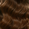 6NGV Tuscany Brown