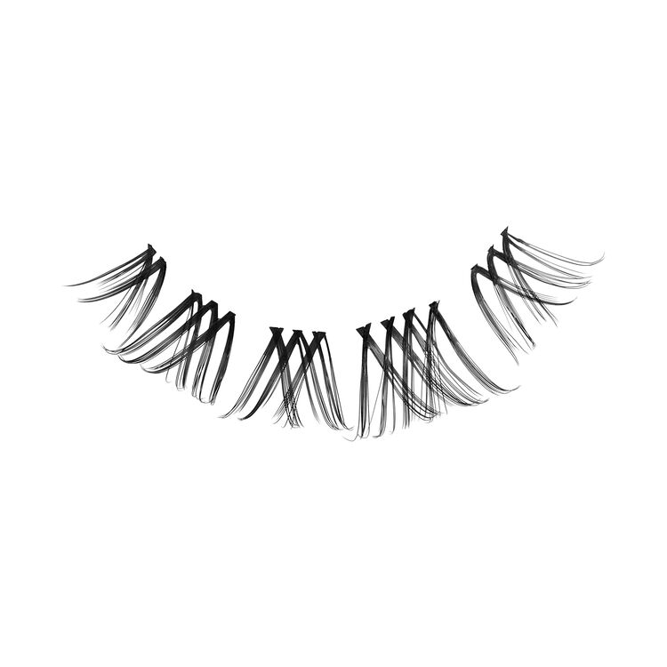 Falscara Studio Case