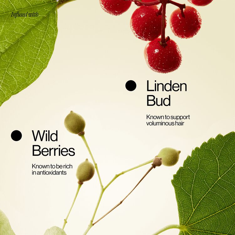 High Rise Root Lifting Spray 5 oz