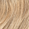 10N Lightest Neutral Blonde