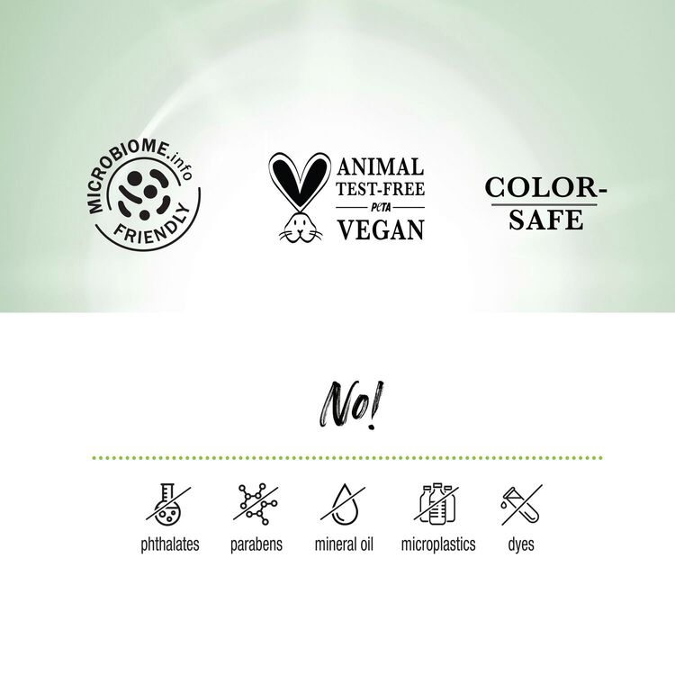 Anti Frizz Shampoo 15.2 fl oz