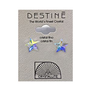 Destine Earrings Star LG AB